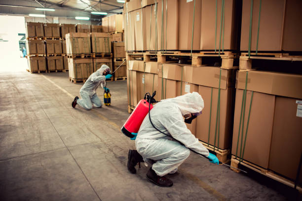 Best Best Pest Control Companies  in Willow Springs, MO