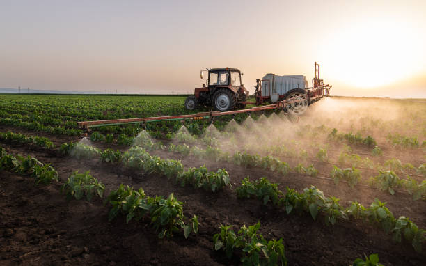 Best Best Pest Control Companies  in Willow Springs, MO