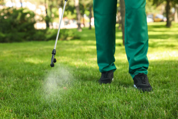 Insect Control in Willow Springs, MO