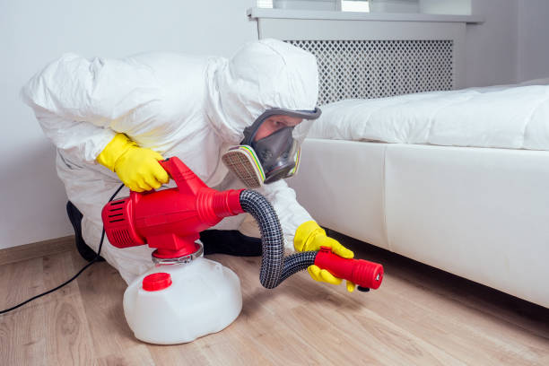 Willow Springs, MO Pest Control Company
