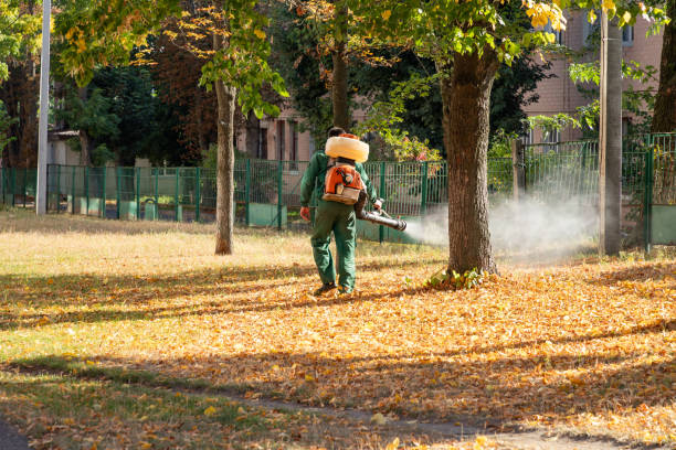 Best Best Pest Control Companies  in Willow Springs, MO