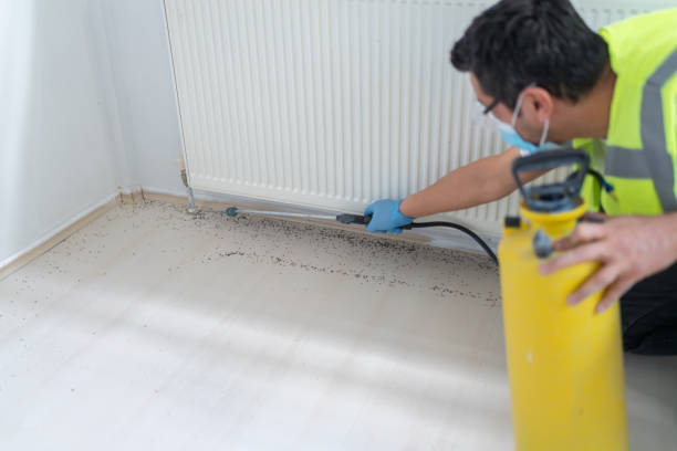 Best Pest Prevention Services  in Willow Springs, MO
